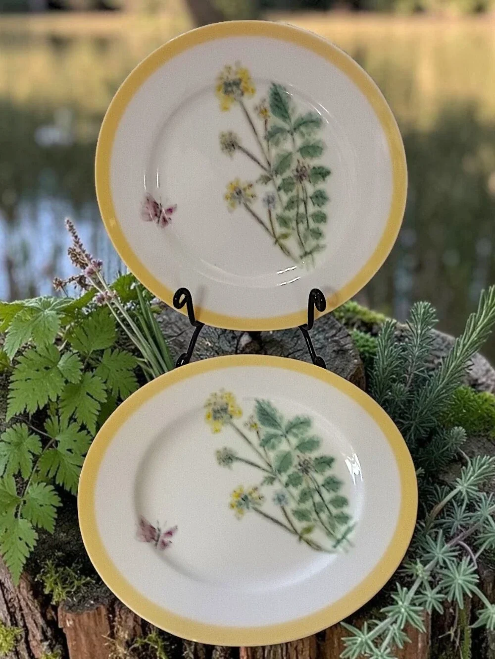 2 Williams Sonoma Flowering Herbs Salad Plates Yellow Burnet Purple Butterfly